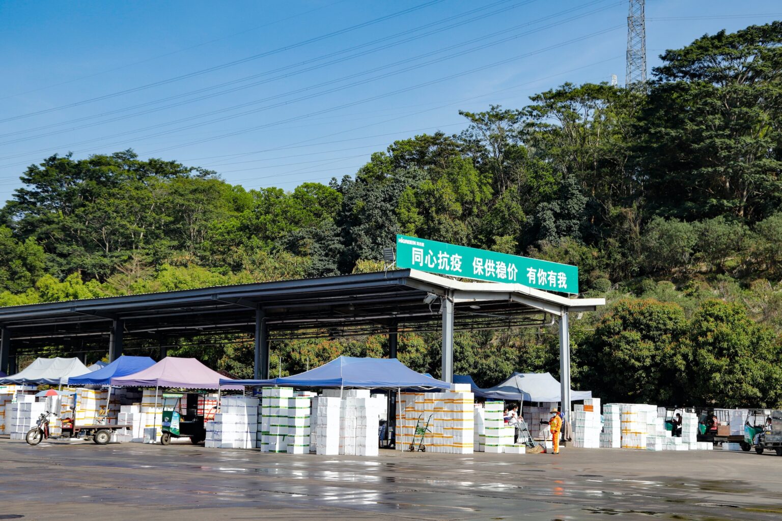 IN08-深圳海吉星日均来货量超5000吨